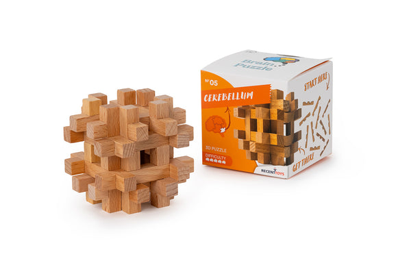 Brain Puzzle N05: Cerebellum